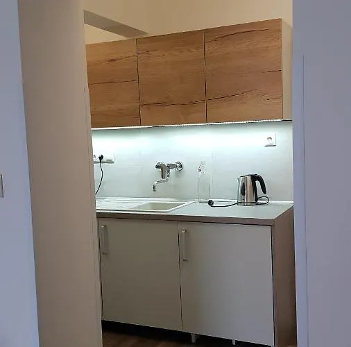 Pat - A Spacious Place Near The Station And Center Daire *